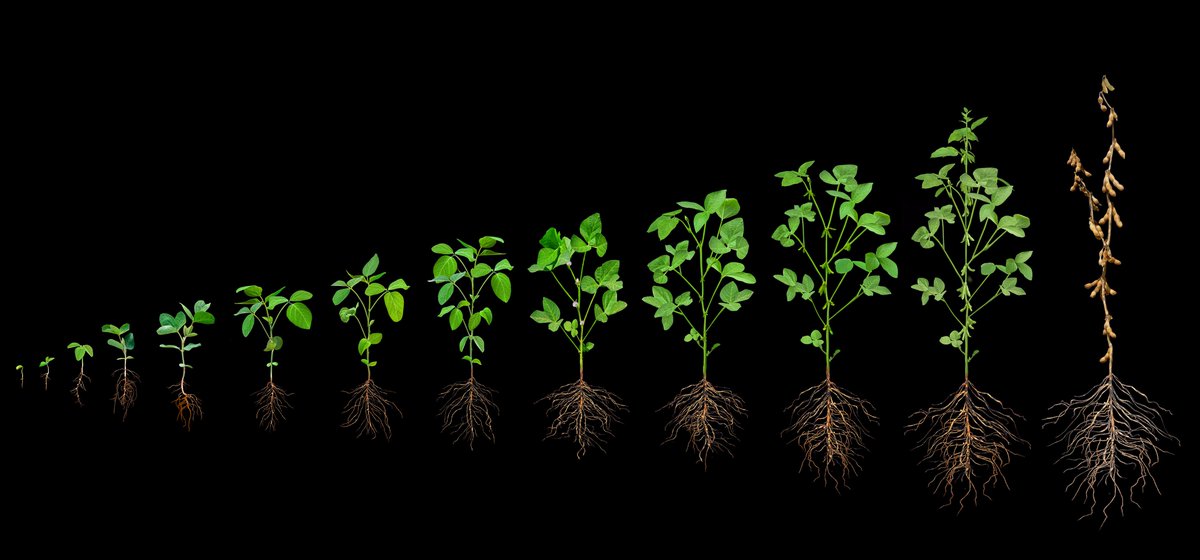 You may think you have an impossible #photoshoot, but it's not impossible for <a href="/spectrum612/">Spectrum Studio</a>! Ahh...the beauty of #photoshop