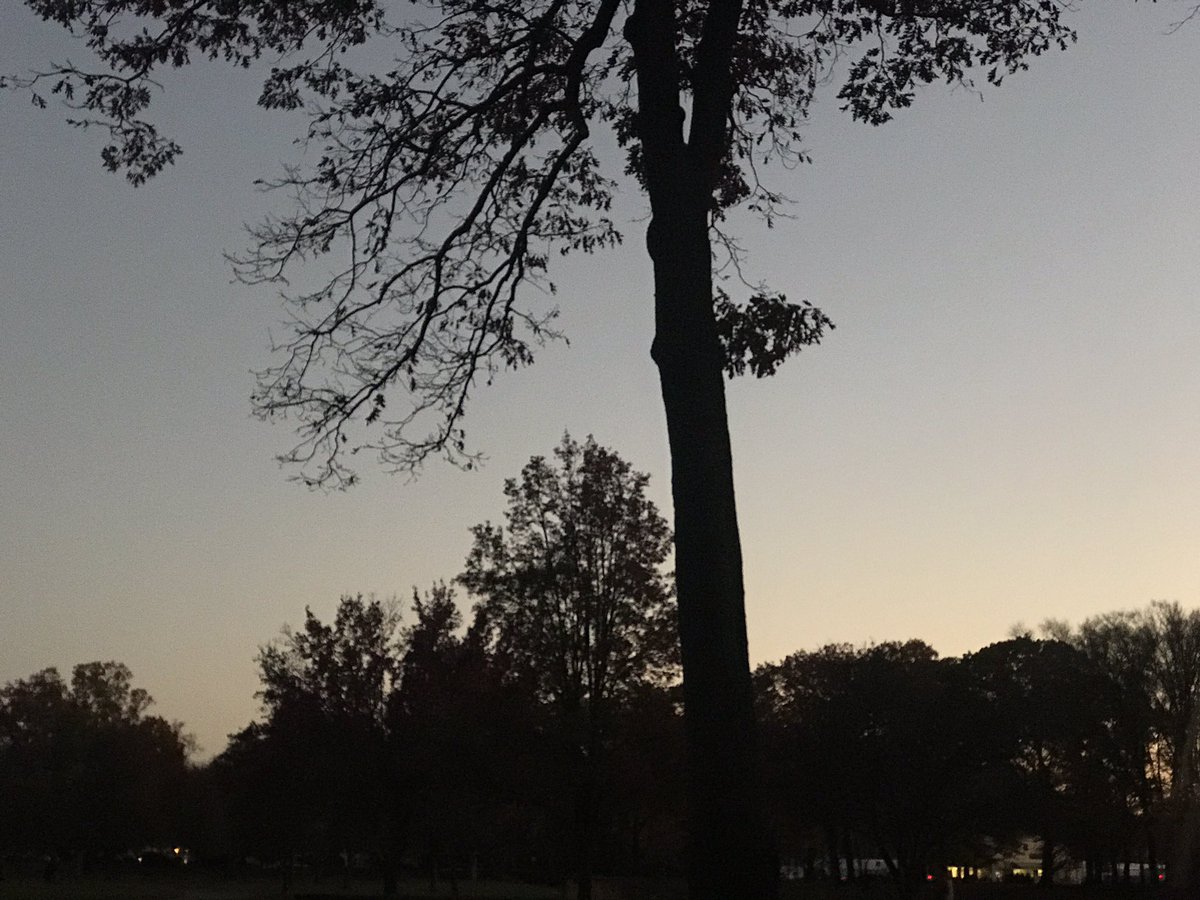 spacespasm's tweet image. 🍂