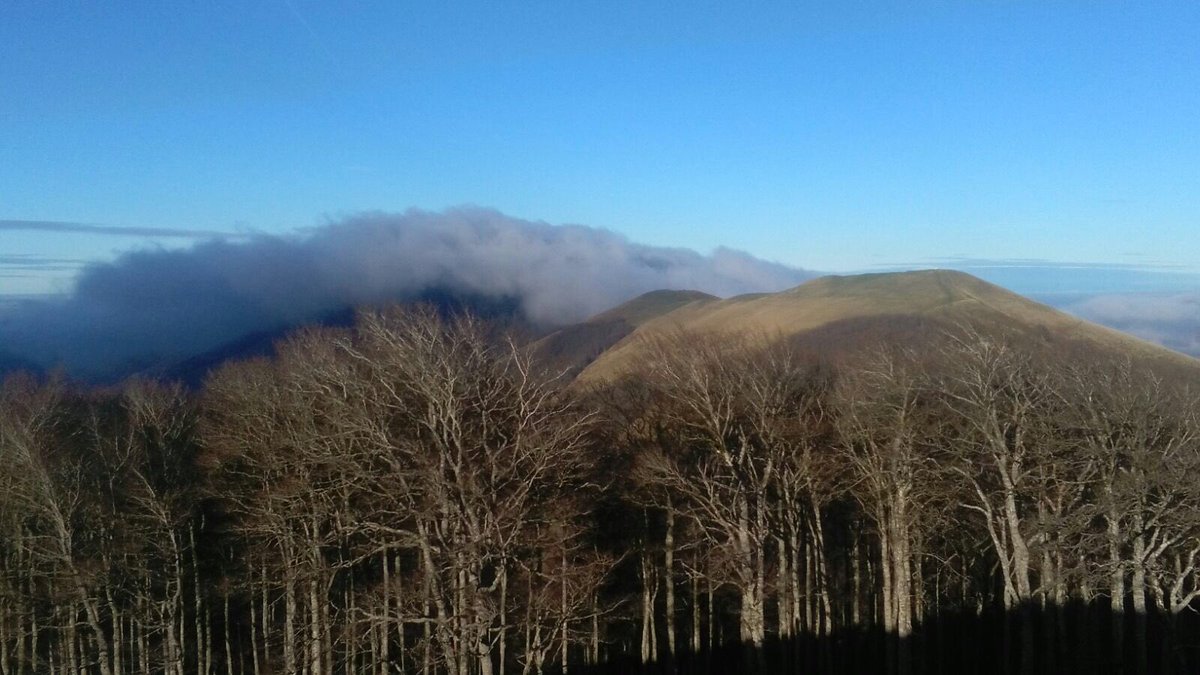 Hoy fin d temp #migracion lindus 2016, gracias a todos #ornitologos @GanNavarra <a href="/auritz_burguete/">𝕽𝔦𝔫𝔠𝔬𝔫𝔢𝔰 𝔡𝔢𝔩 𝔓𝔦𝔯𝔦𝔫𝔢𝔬</a> <a href="/LPOAk/">LPO Aquitaine</a> <a href="/portalet_SEO/">migracionportaletseo</a> hasta la vuelta #aves