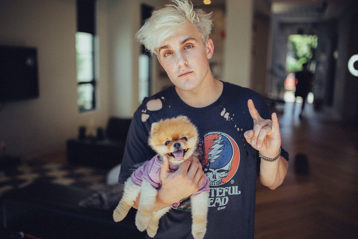 Timrpgdigsc's tweet image. 💔