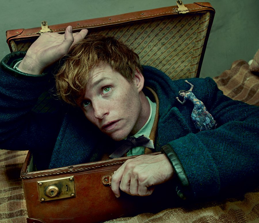 WikiaYABooks's tweet image. Go check out the new @voguemagazine article about  #FantasticBeasts! Pictures taken by the talented @annieleibovitz bit.ly/2fWGXEE