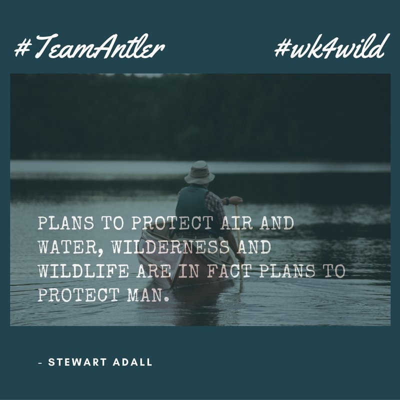 WildlandsLeague's tweet photo. CELEBRATE #NationalPhilanthropyDay with a gift for NATURE! It's @cpaws Week for the Wild! #wk4wild https://t.co/b0UGY7Edj0 #teamantler https://t.co/wWISoKQgfh