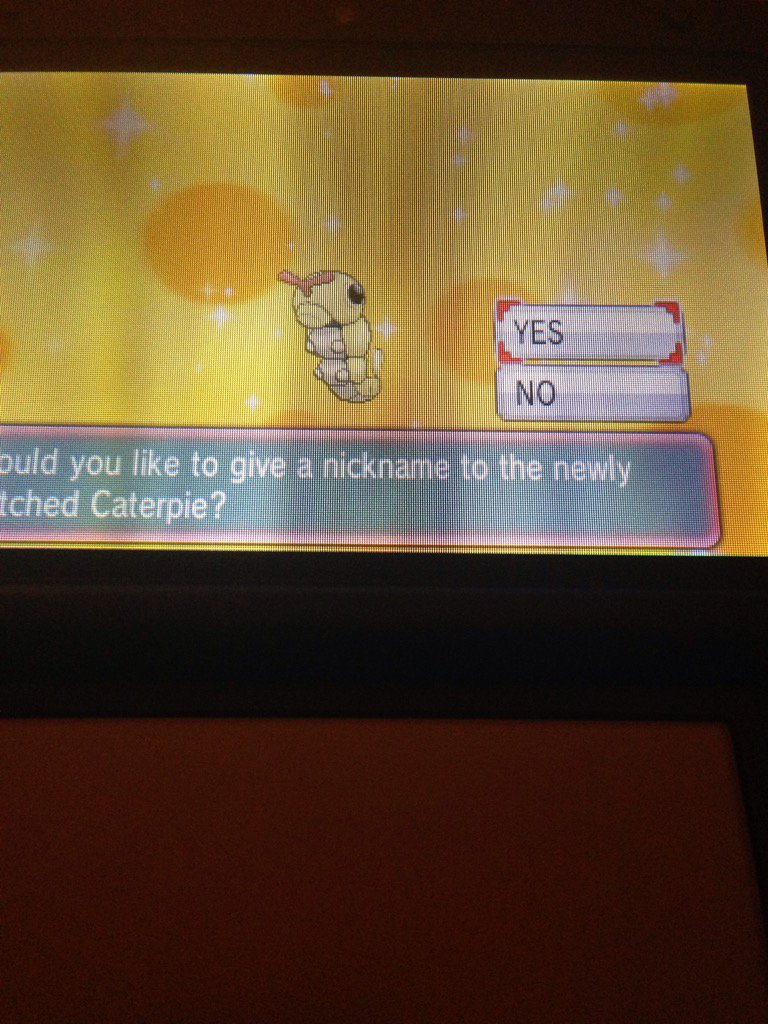 Boomerangjack's tweet image. 430 eggs. Totally didn't retweet this b/c of a typo. Go Mr. Metapod! @aDrive_tK @GalacticElliot @JayYTGamer #sorryjay