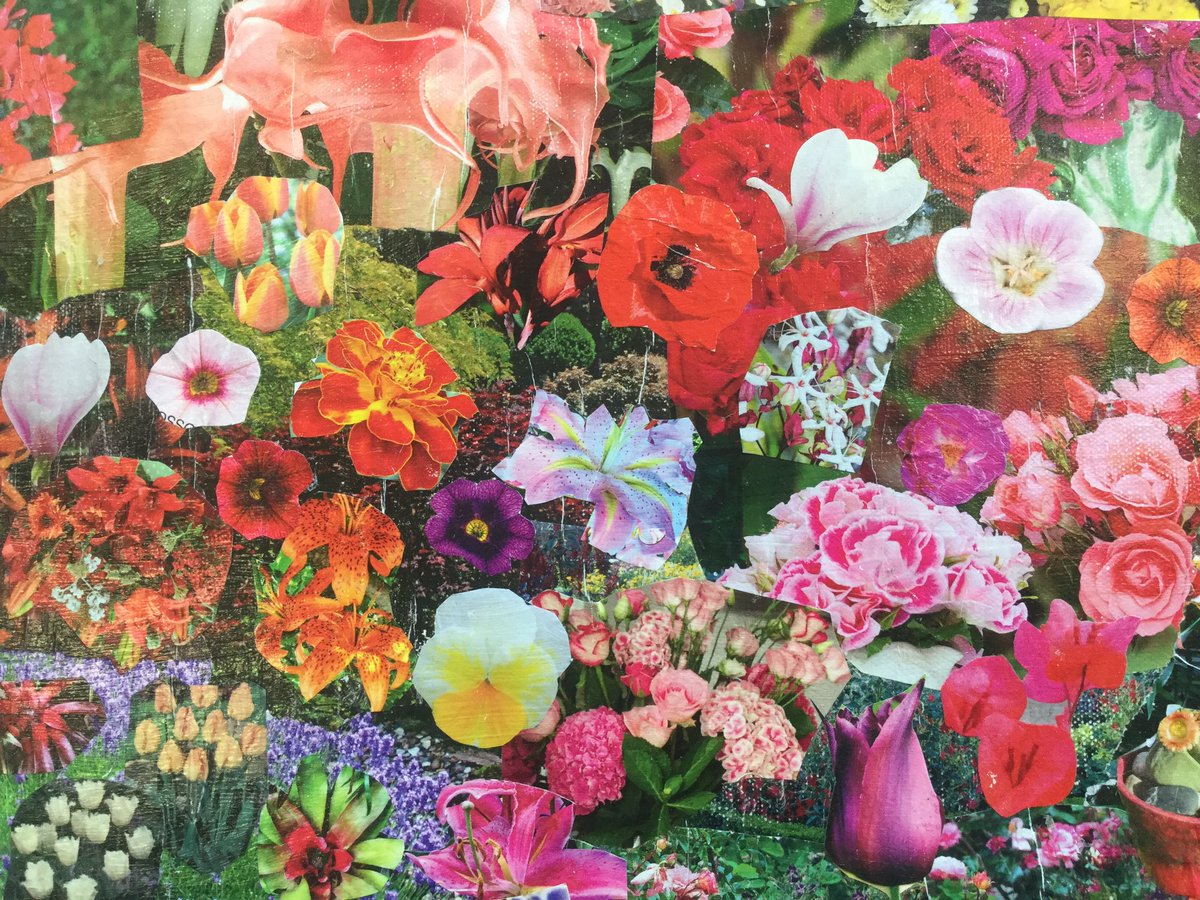 ChristchurchLib's tweet image. An amazing background in readiness for the next stage of creativity! Ka pai to the #AranuiLibrary arts group! ^DC