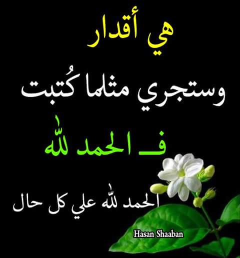 salah yaseen (@salahyaseen26) on Twitter photo 