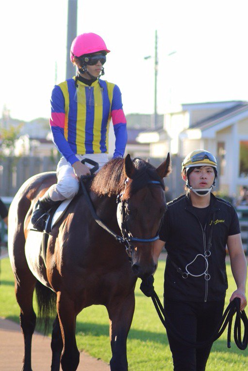 ハイセイコー記念2016 Twitter予想 Togetter [トゥギャッター]