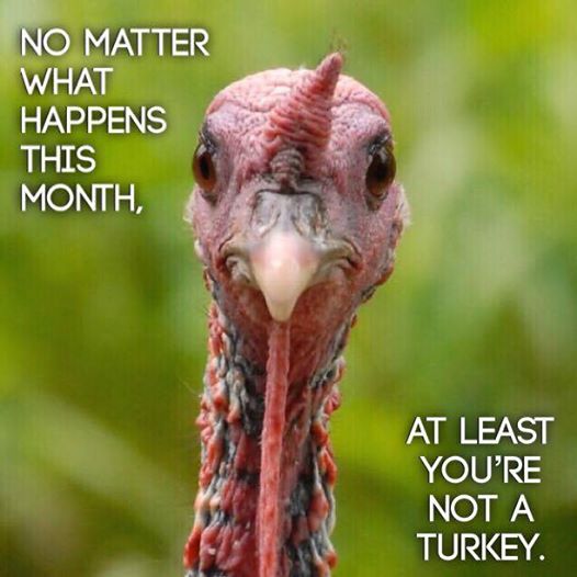 CrossfireElite's tweet photo. Don't be a Turkey. Be thankful. https://t.co/UHErmh9V3v
