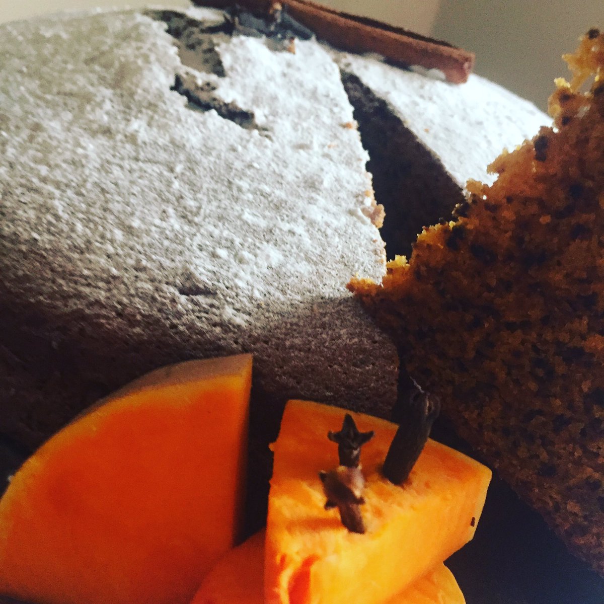 #zucca#zuccotti#zucconi#