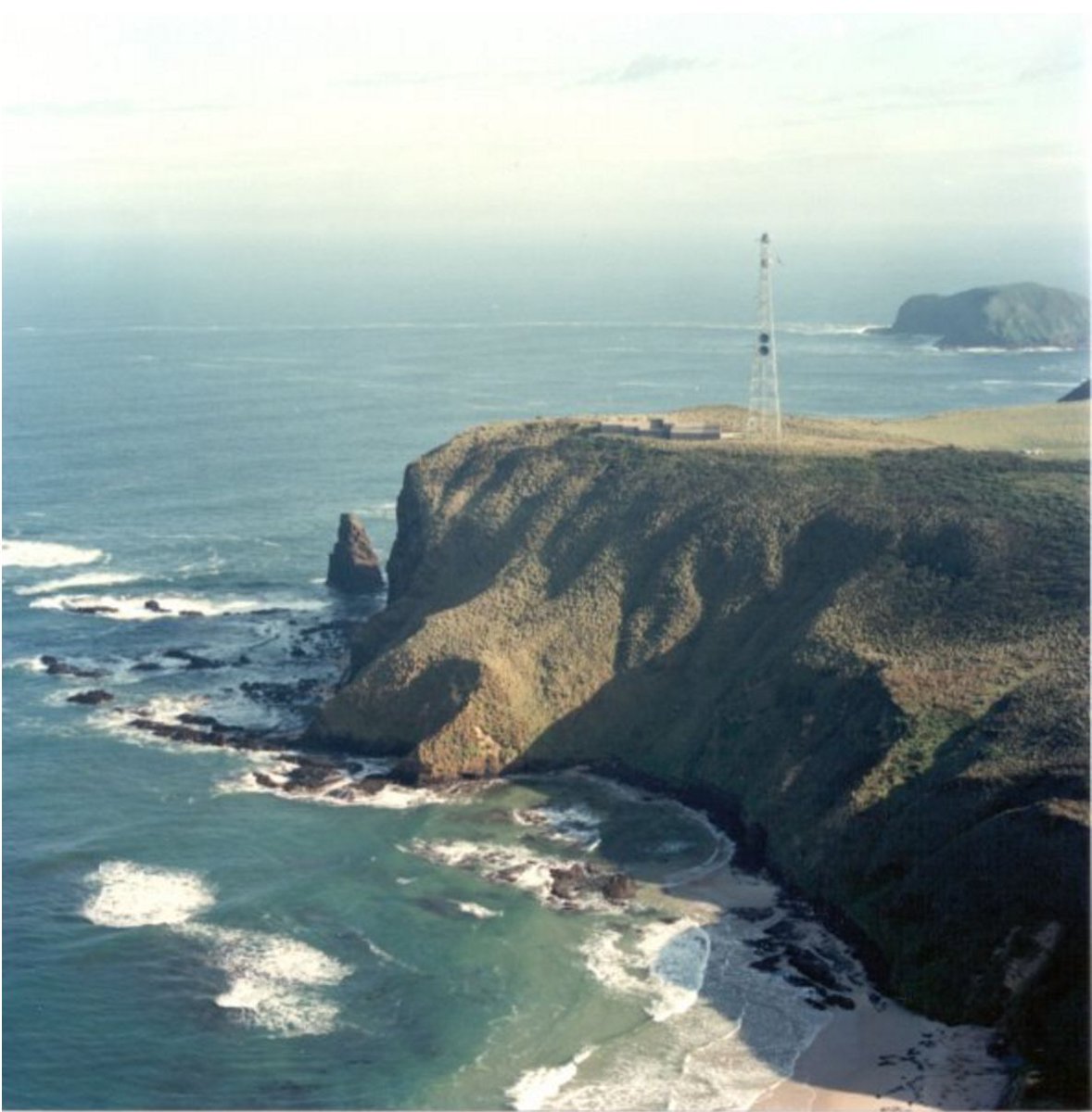 WillyWeather (WillyWeather) Twitter