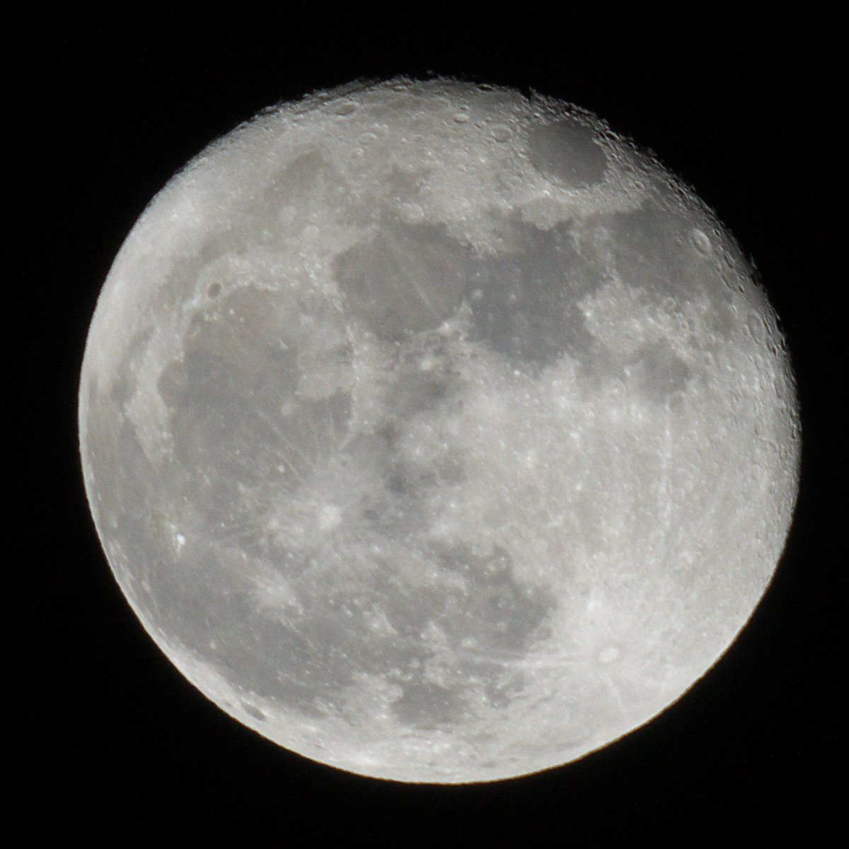 eeTommyJ's tweet photo. Tonight I was able to take some 1 more picture of the moon. #NASAsupermoon https://t.co/4FTq8YprG5