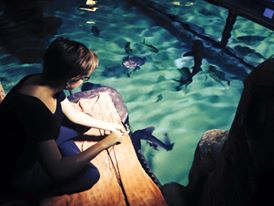riskitpheona's tweet photo. When @riskitpheona can't be Game Master hunting, she's out Shark and Puffer Fish feeding... https://t.co/Fnw74FMSXQ