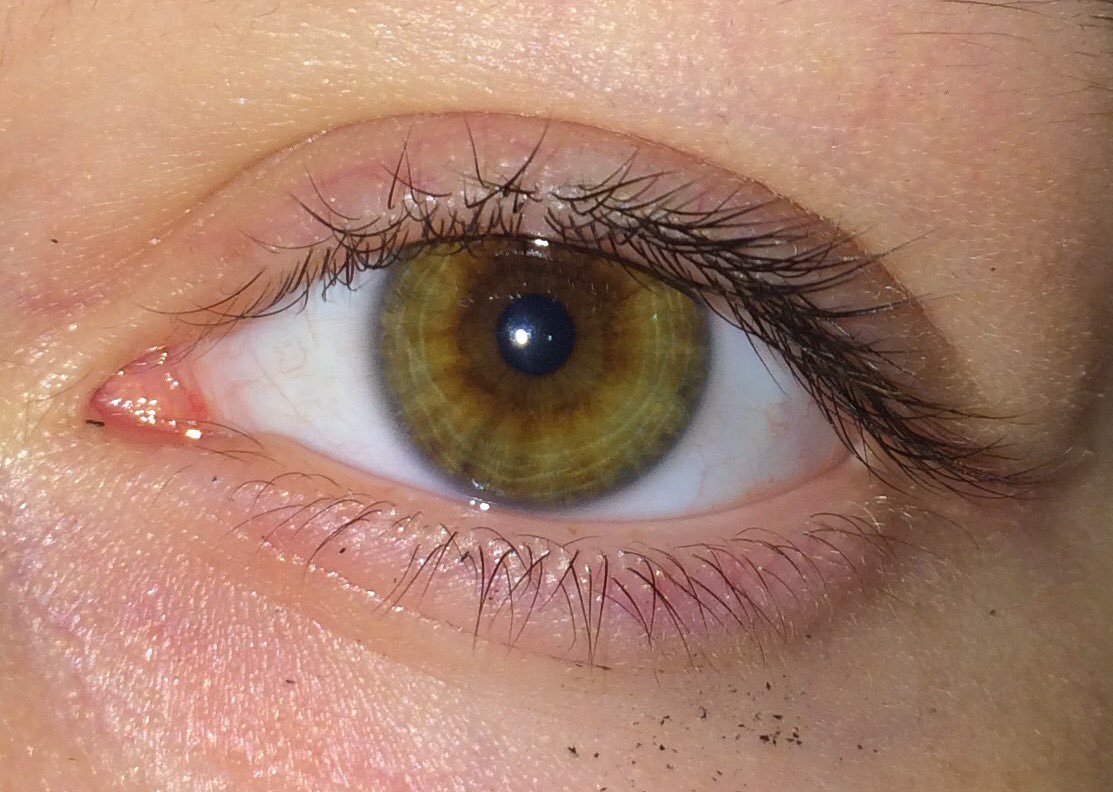 almostdeadacc's tweet image. 