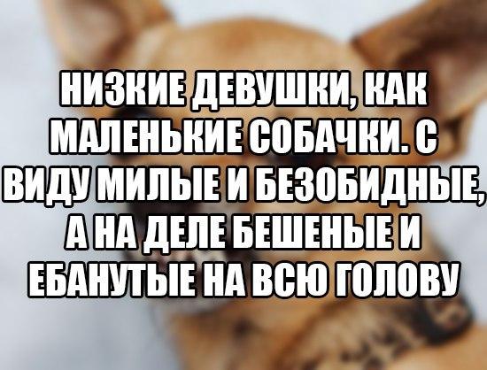 Skavik_'s tweet photo. Ахаха, именно))) https://t.co/lQ8z04GcvK