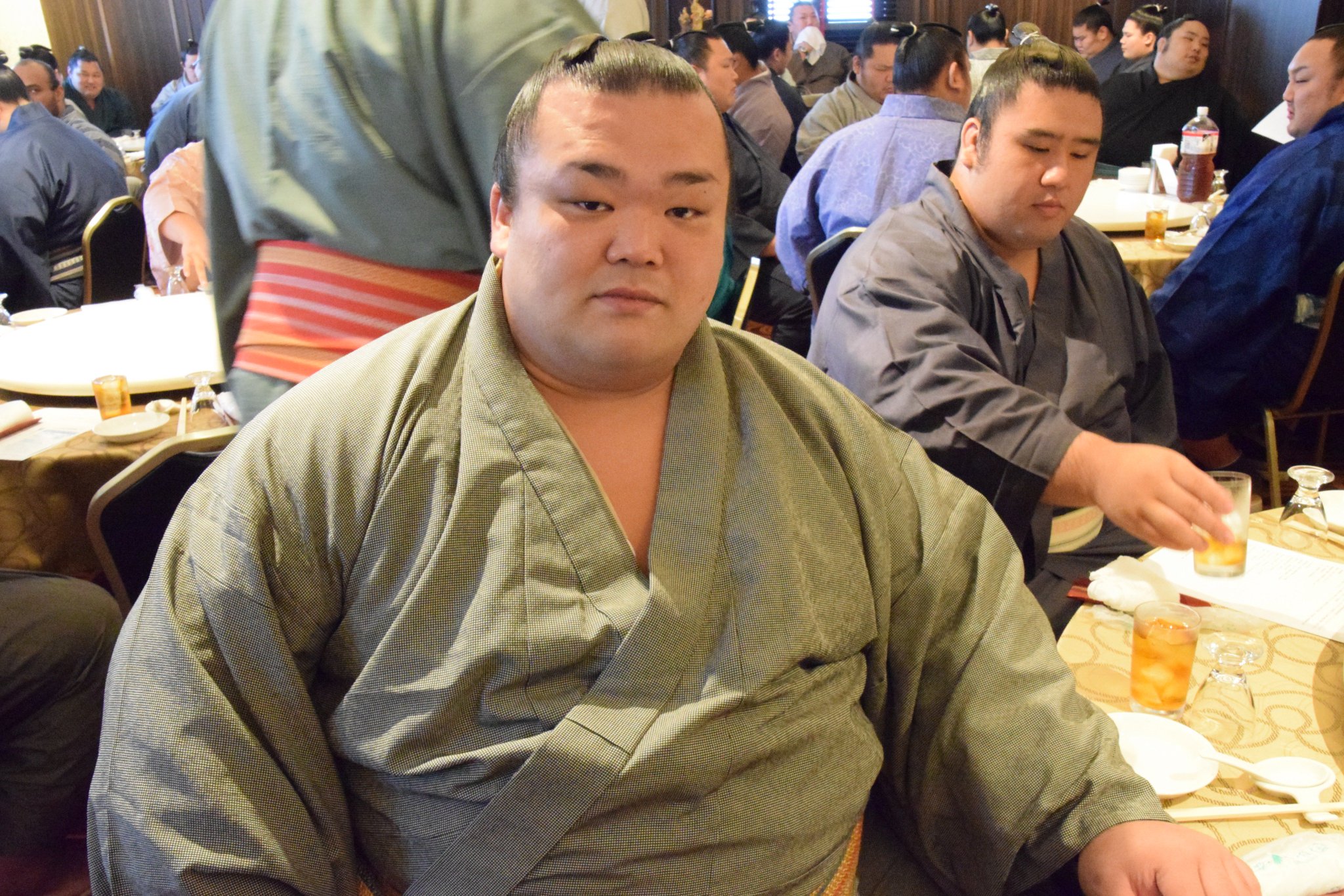 тойохибики