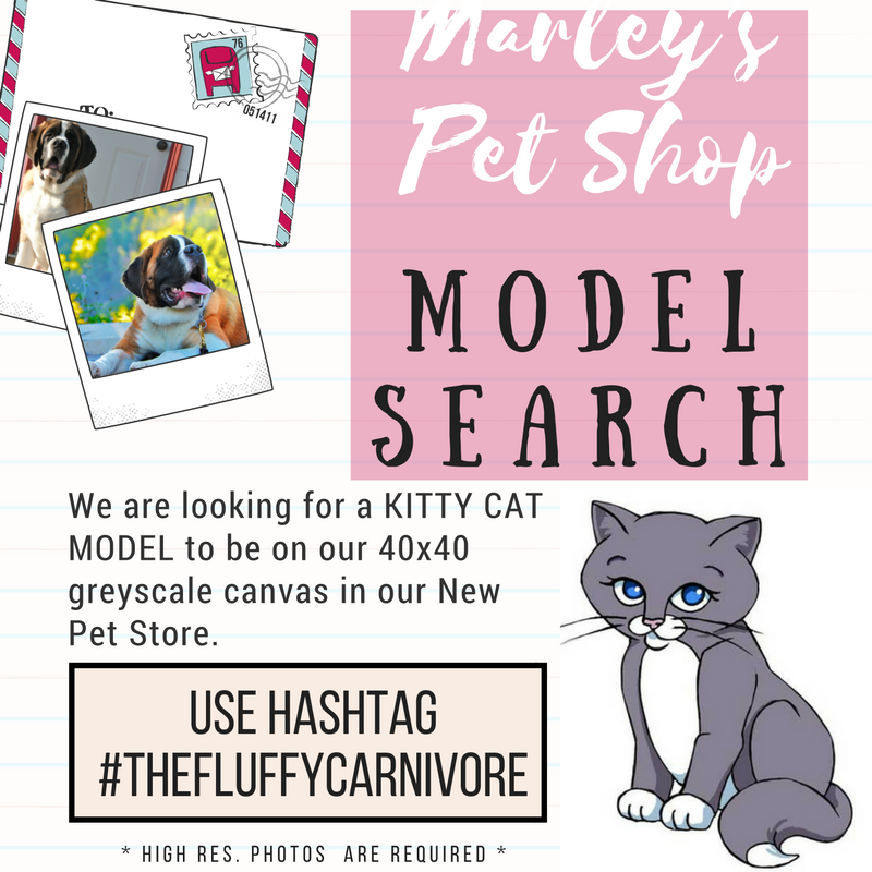 MarleyJaneSaint's tweet photo. #Share #RT #dogs #cats https://t.co/kQxHTJRAYq