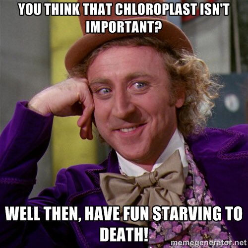 Chloroplasties's tweet photo. 🙏🏼👏🏽 @whsbiokelson #organellewars https://t.co/NvOPY1JLD0