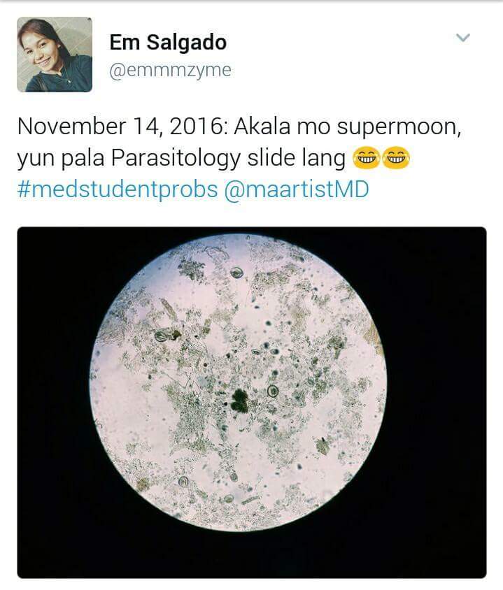 maricardiumd's tweet image. Supermoon Parasitology Superslide. 
😂 🔬
@Forunikaras #nerdymode