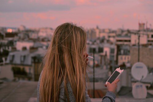 song boards tweet media