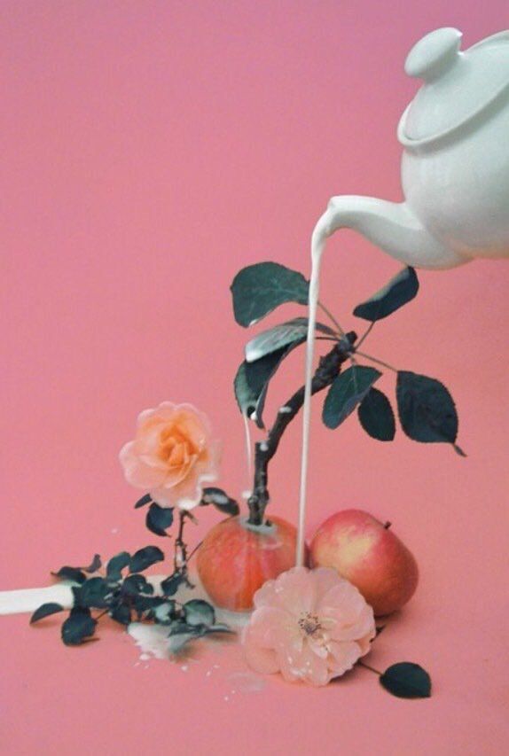 song boards tweet media