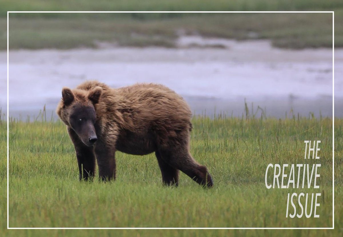 gcmagcmu's tweet image. You wouldn't believe a CMU student, Anne Langan, took these stunning pictures of Alaska! #TheCreativeIssue ow.ly/Lbf0306dded