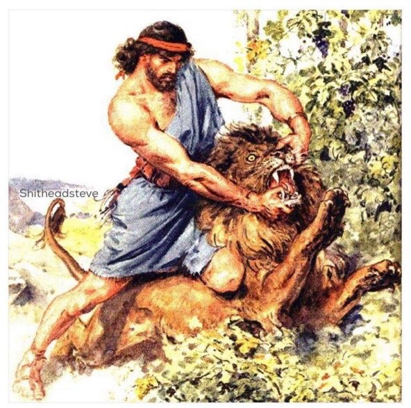 Libertad_Noti's tweet image. Cuando estás comiendo chocolate, se te cae un pedazo y tu perro se lo empieza a comer.