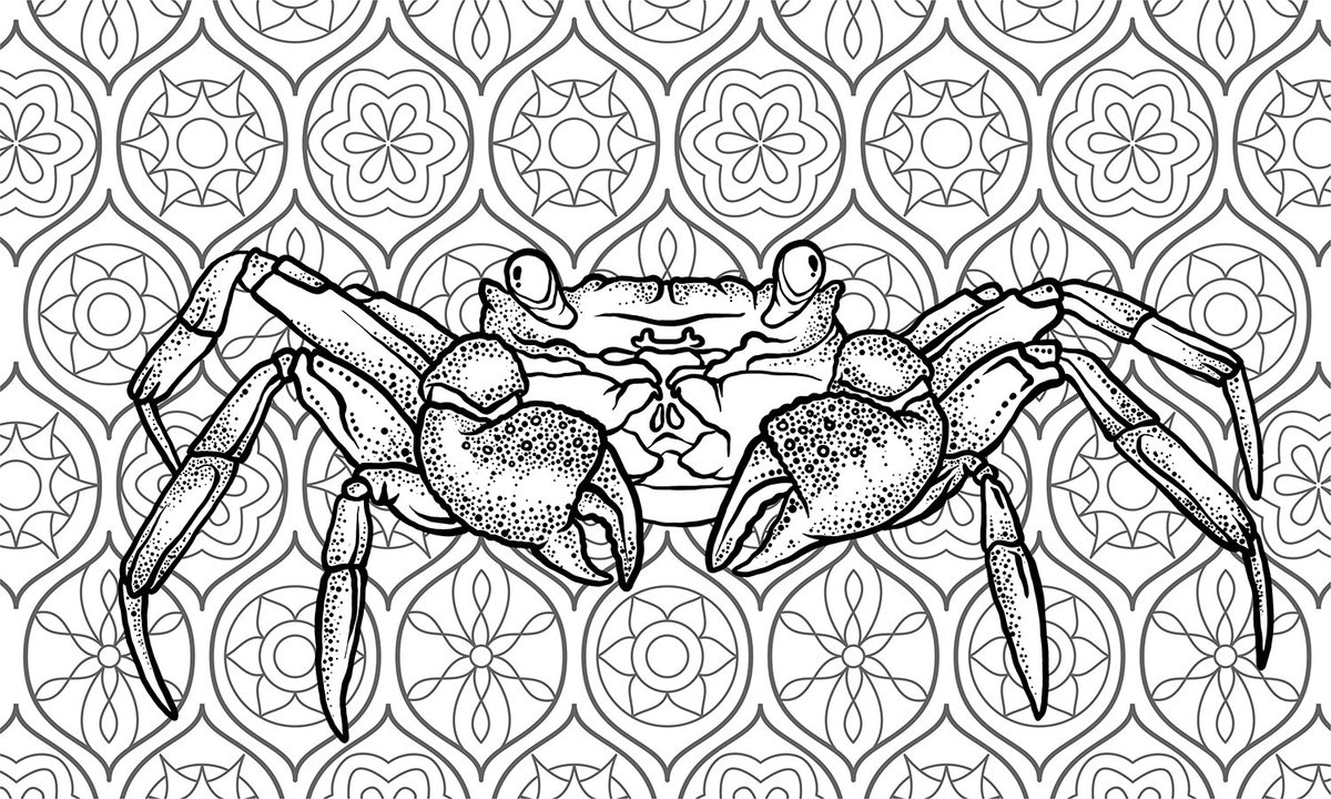 TheStickyArt's tweet photo. StickyArt Coloring Contest!

Enter to win a 10 pack of our pads. Go to https://t.co/3BY6bayPMH,for details!

#adultcoloring #color #contest https://t.co/pQXgaeJ87x