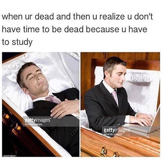 maliejayne's tweet photo. pretty much. https://t.co/cGFyvVAAk6