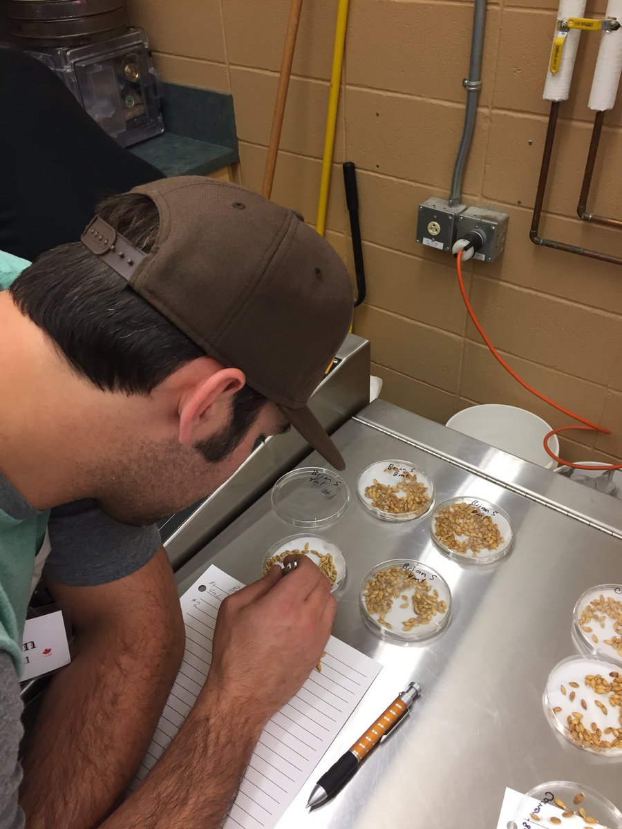 robdaviesAB's tweet photo. Great event at #CMBTC.   "@sewellgrainfarm: Great day for this barley farmer @MaltAcademy counting chits #malt https://t.co/YPKvfWDb18"