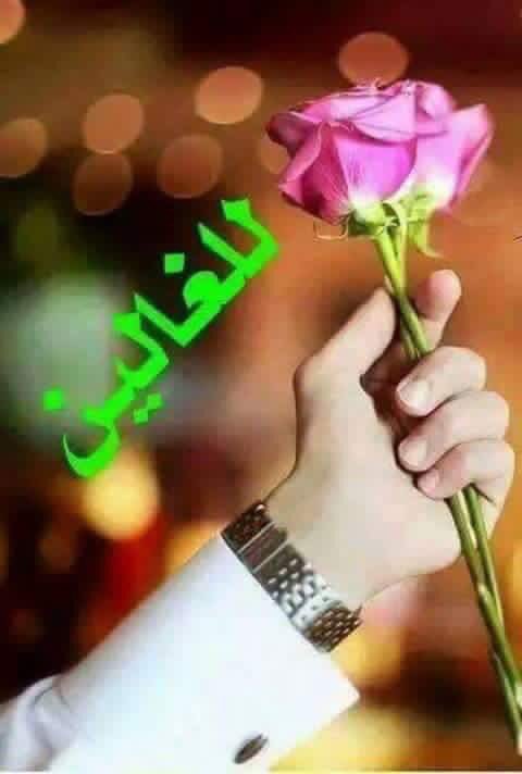 صباح الخير لكم جميع