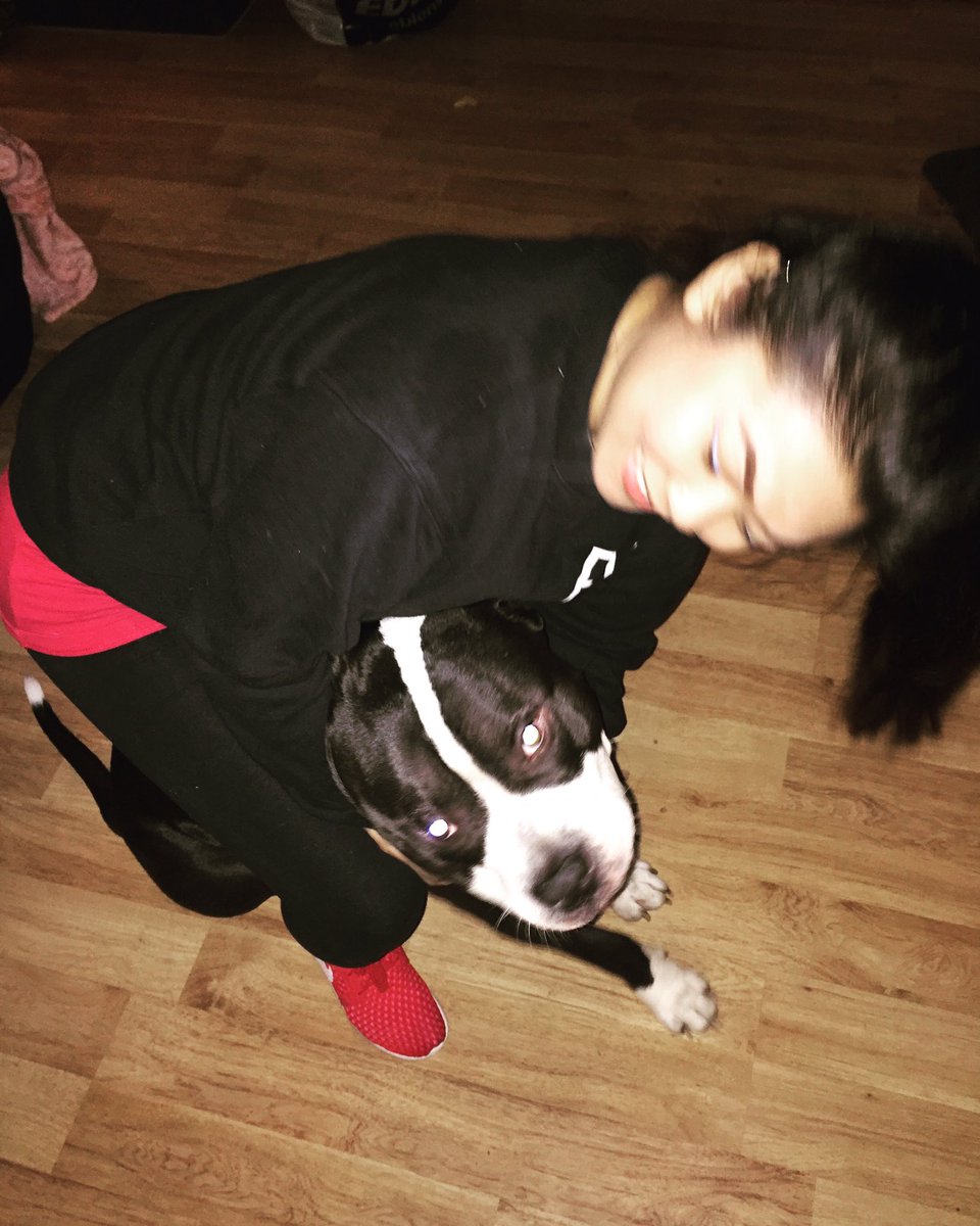 VCoco__'s tweet image. The love is real❣️ #bully 🐶