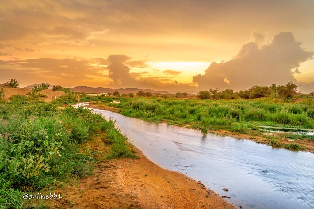 onlinebb1's tweet photo. #البوم_الطايف https://t.co/CC93lpyveX