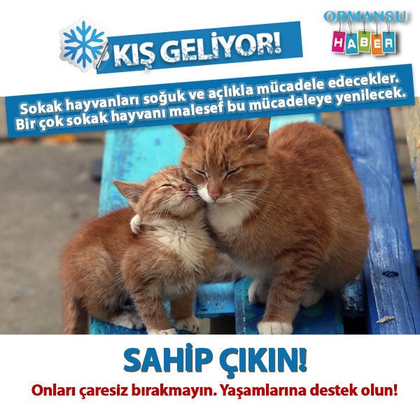Mersin DKMP (@mersindkmp) on Twitter photo 