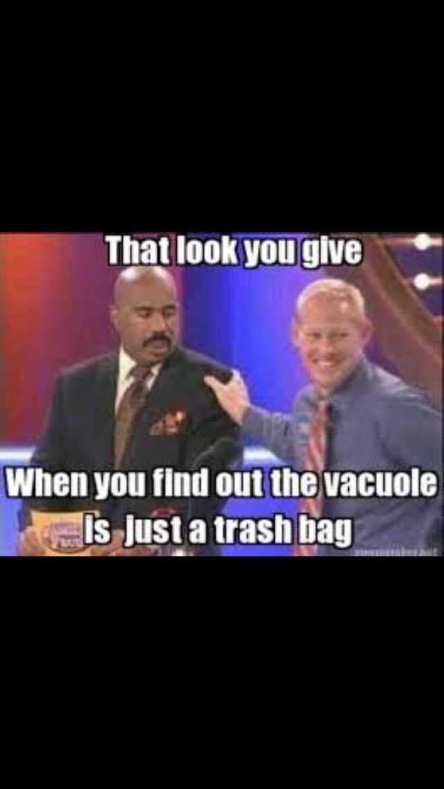 mightymitochon4's tweet photo. @whsbiokelson #organellewars https://t.co/Zef5qmDann