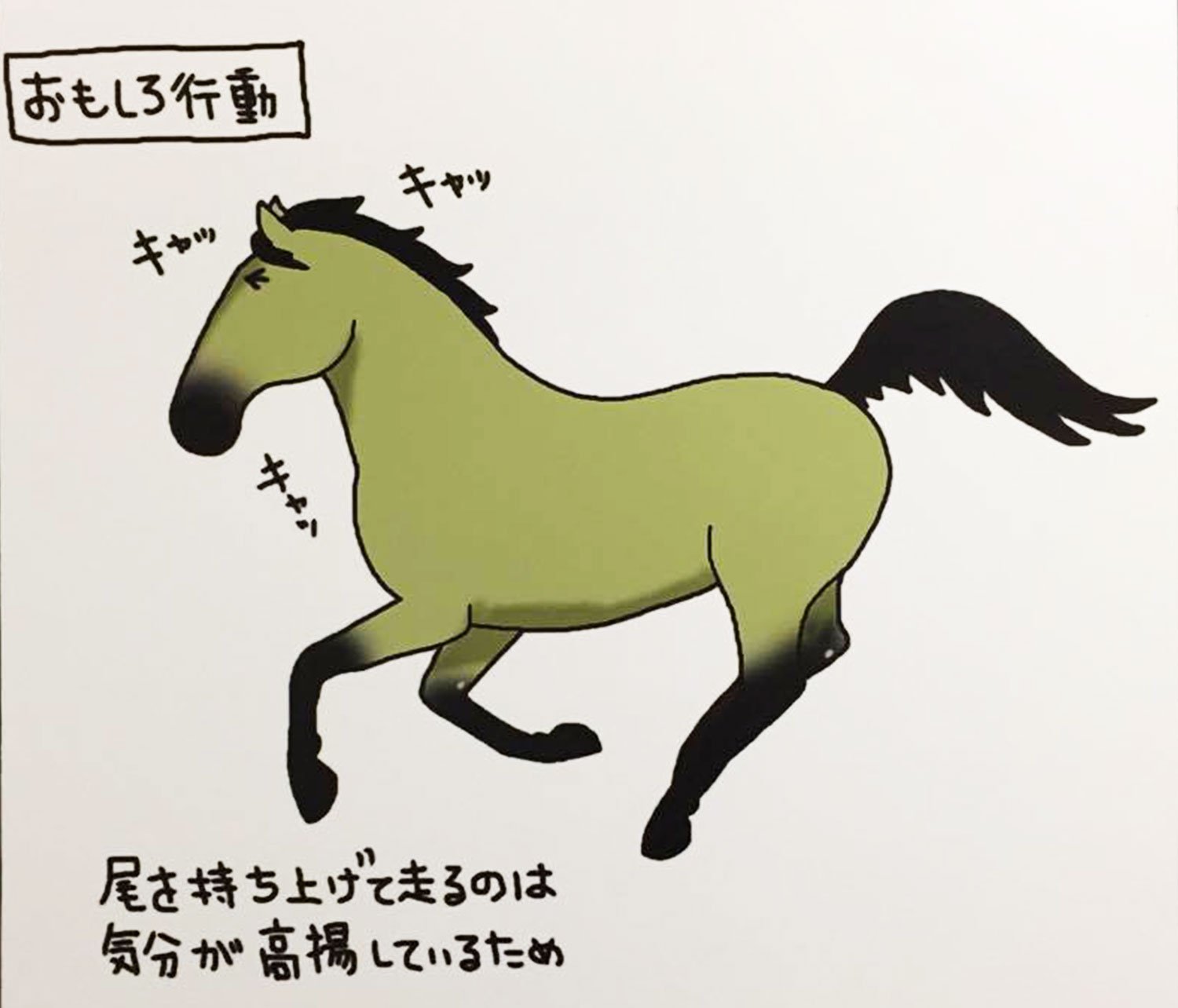 Jra Fun 馬が尻尾を持ち上げて走るのは 気分がノッてるとき 犬とは違って 尻尾 を振るのではなく持ち上げる レース前の返し馬でも注目してみるといいぞ うまび T Co Ielcdswjqm Twitter