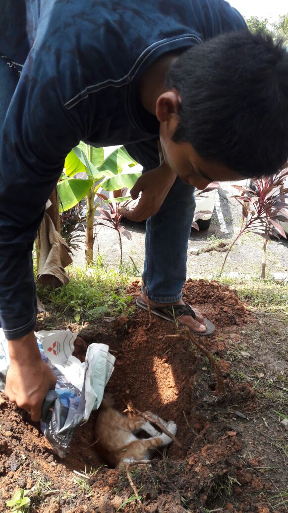 Dannydnzy's tweet photo. Zaman sekarang ni susah nk jumpa budak baik macam ni. Umar, org kau tolong haiwan pon kau tolong. https://t.co/pSubQ7m5UU
