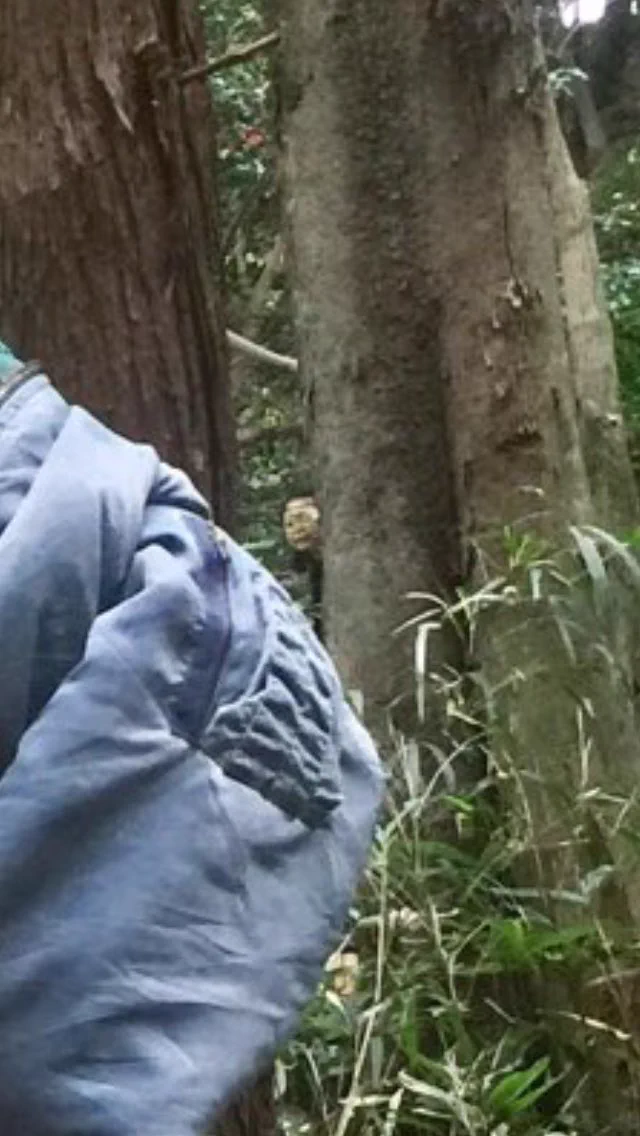 え…心霊写真？りゅうちぇるの写真、背後になんかヤバイのいるんですけどｗｗｗ