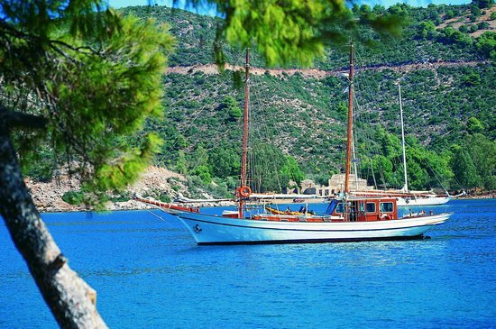 HelenicCharters's tweet photo. Sailing vacations &amp; yacht charter holidays in the Greek islands bareboat &amp; crewed yachts, monohulls, catamarans https://t.co/s78KKZAv8n https://t.co/jeNVNtAXM7