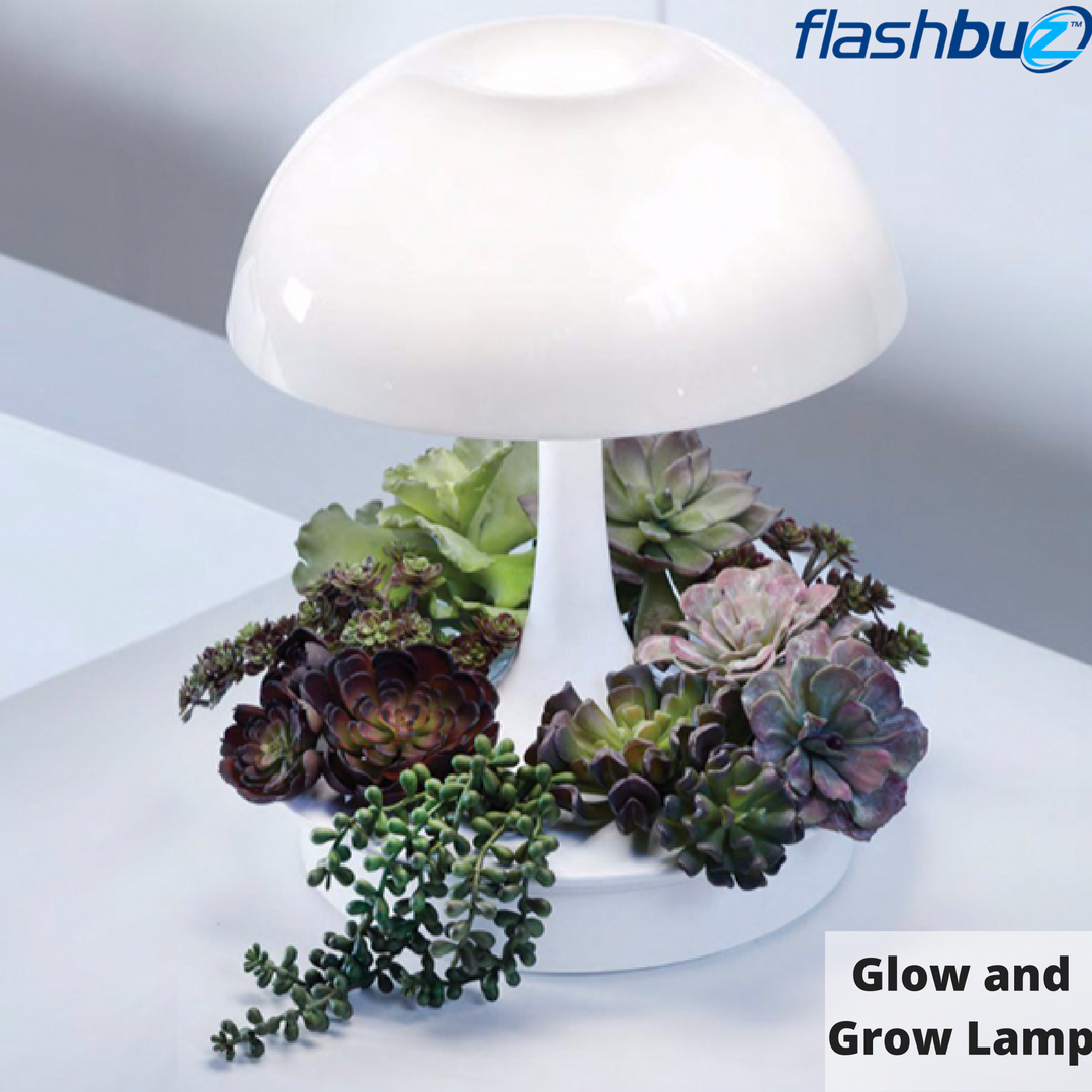 flashbuz's tweet photo. Style & elegance go hand in hand with this #attractive glow and grow #lamp by #flashbuzz. https://t.co/2VQNeFbg47 https://t.co/NpRrC39etV