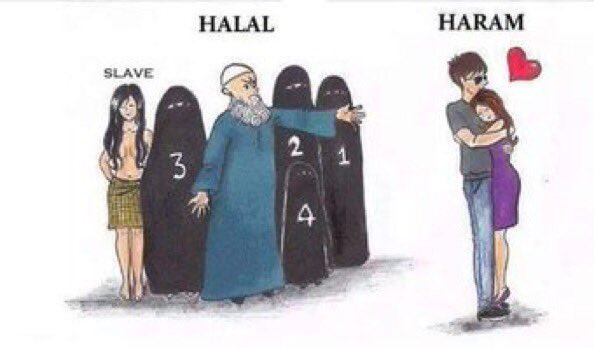 You filthy infidels have disgusting cultural values that are offensive to the morally superior values found in Islam