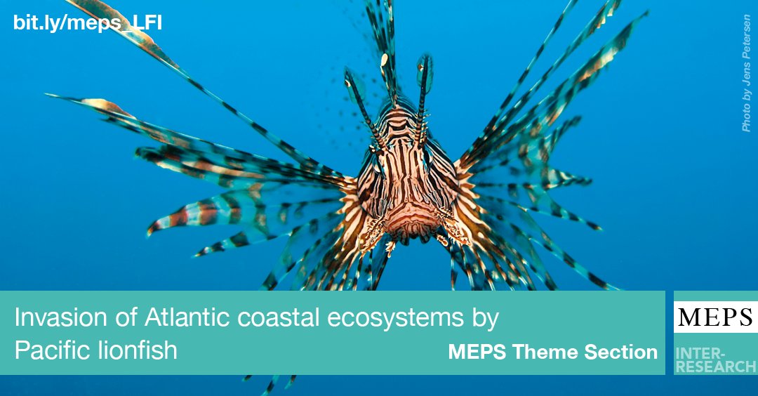 Ecological effects of the Pacific #lionfish #invasion in the Atlantic #coastalecosystem #MEPS #OA #LFIThemeSection