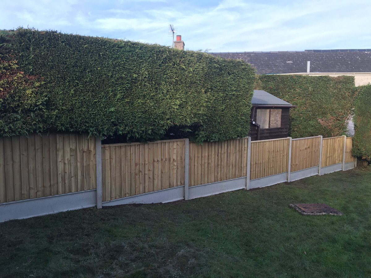 EvolutionTrees's tweet image. Recent fencing job #evolutiontrees