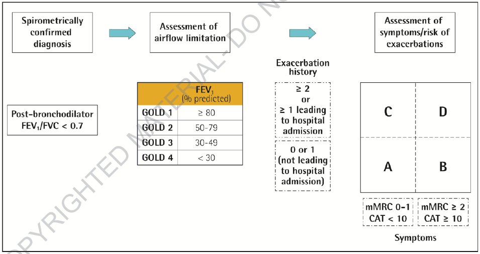 Frits Franssen on Twitter: "The GOLD 2017 Report is now 