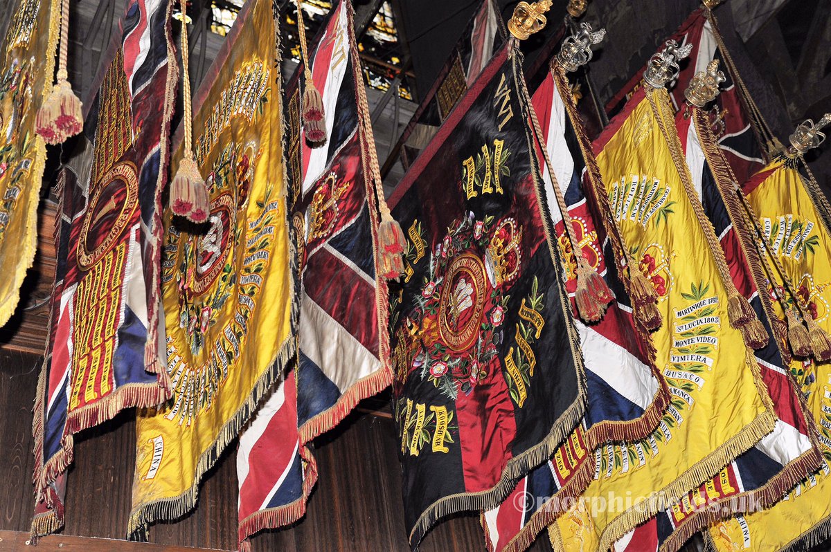 Morphic Fields tweet media