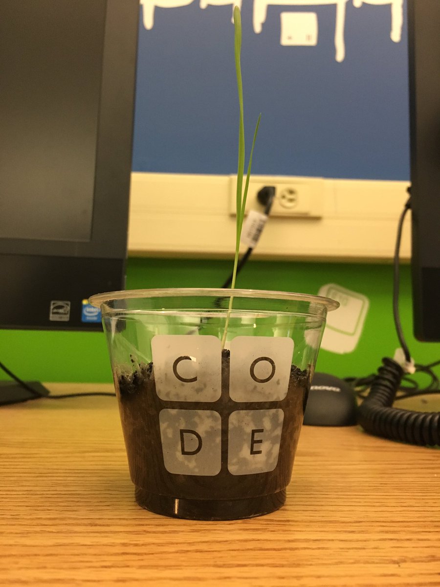 Mr_MatthewsTech's tweet image. Excited to see my unplugged activity plant from @codeorg is starting to grow! #Code