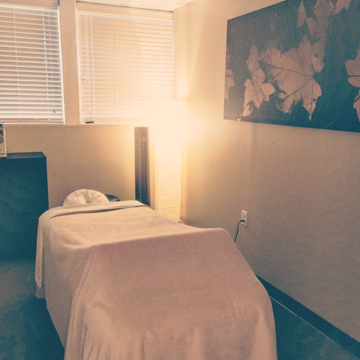 Essentials_SH's tweet image. Come see us this beautiful #wednesday! Open 9-9. Spots still available! #happyhumpday🐫 #essentialsofsafetyharbor #safetyharbor