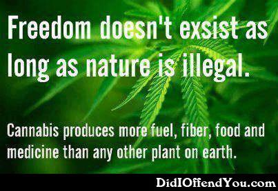 FieldsOfGreenFA's tweet image. South Africa can expect a ruling on whether #dagga will be legal for medicinal use by the end of the year.
j.mp/2ewoEZ9