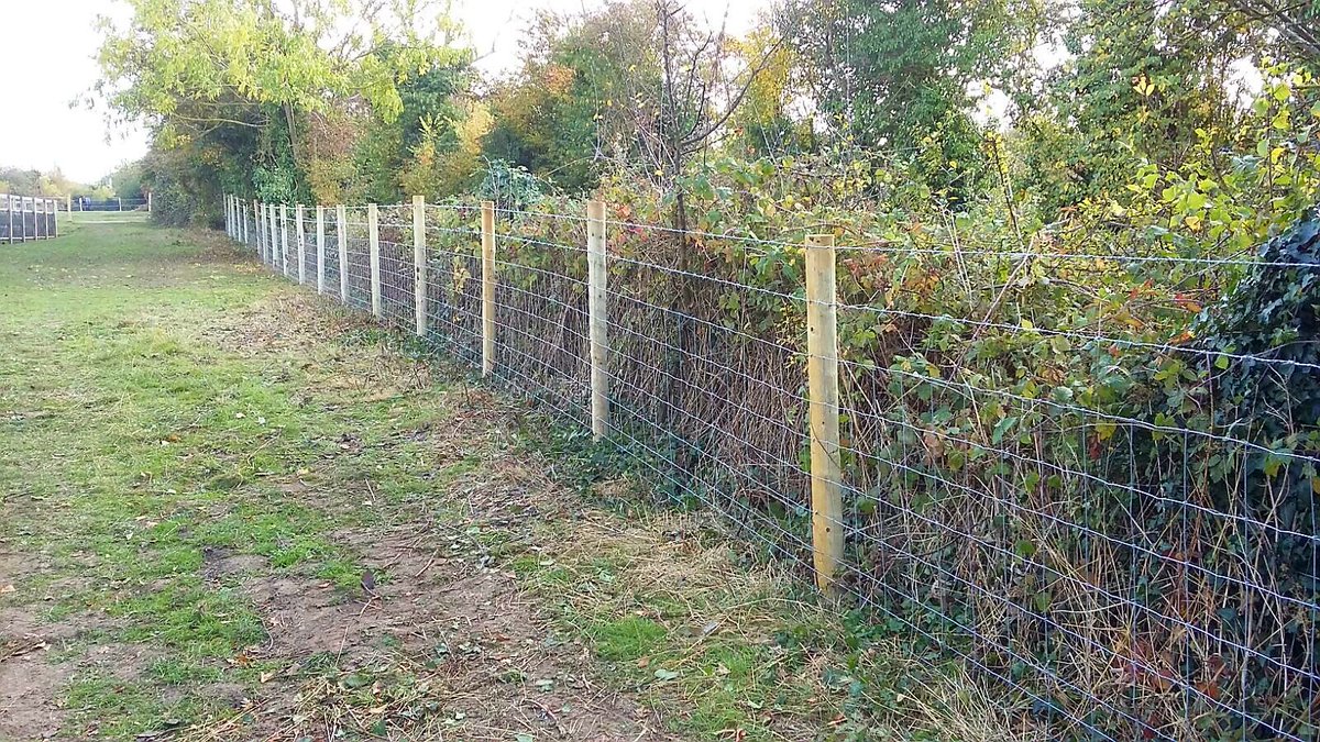 FtsFoord's tweet photo. Time for fencing winter works. #stockfencing #fencing #equestrian #kent https://t.co/bBrQbIauwf