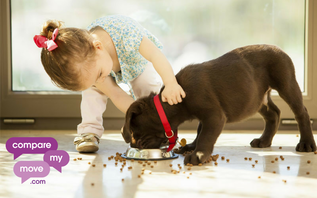 macchesterfield's tweet photo. Buying or renting a new home? Here are 12 top tips to take the stress out of moving house with your pets &amp; children: https://t.co/yzoo3L9tcm https://t.co/1vMYPhqNJp