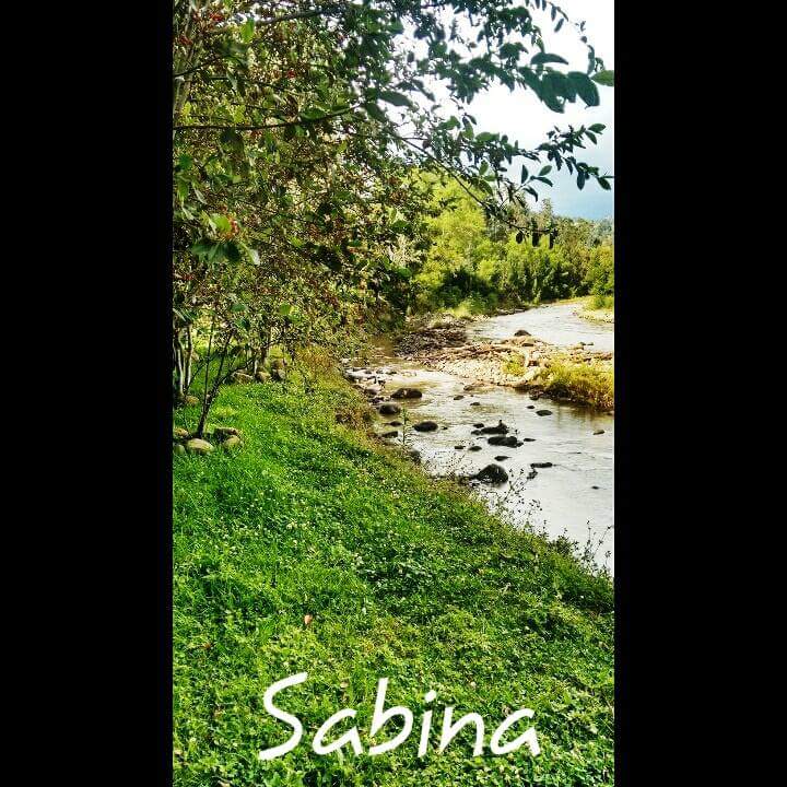 cafe_sabina's tweet photo. #momentosabina Para el estrés... meta los pies. #sabinacafesaboresysaberes https://t.co/6JOomwfqK5