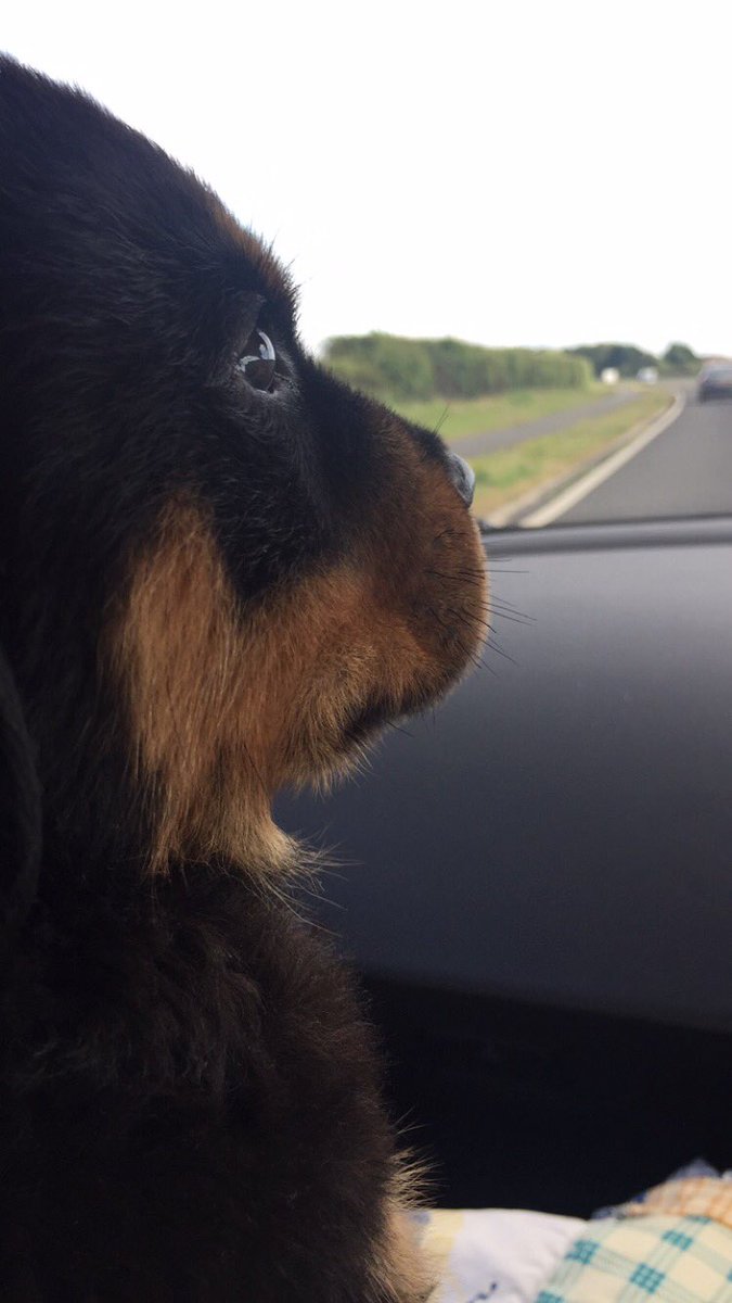 dmncko's tweet photo. 6 weeks // 6 months https://t.co/RosoxKLqnU